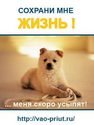 Баннер 300х400