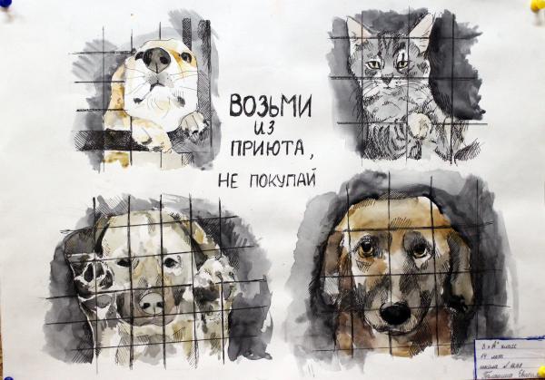 Социальный проект помощь бездомным животным Сувенирная продукция (МЫЛО, СКРАБЫ, УКРАШЕНИЯ, картины, игрушки, кружки, футболк