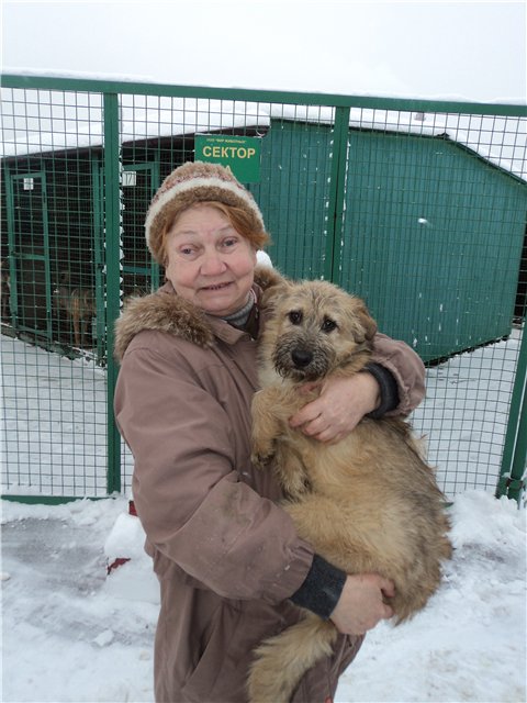 Щенок девочка Б 254