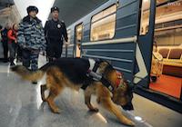 Служебные собаки в метро