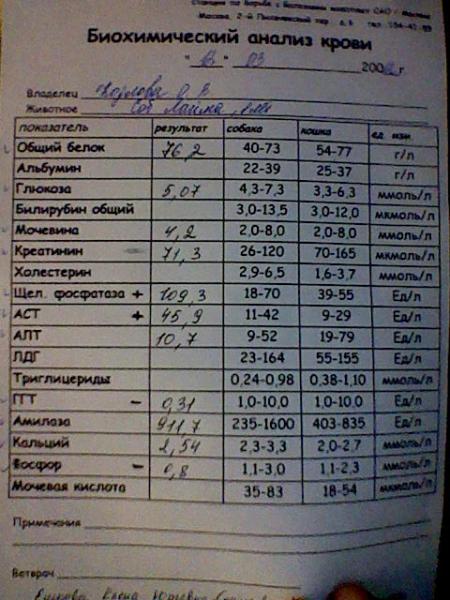 Биохимия крови и мочи презентация